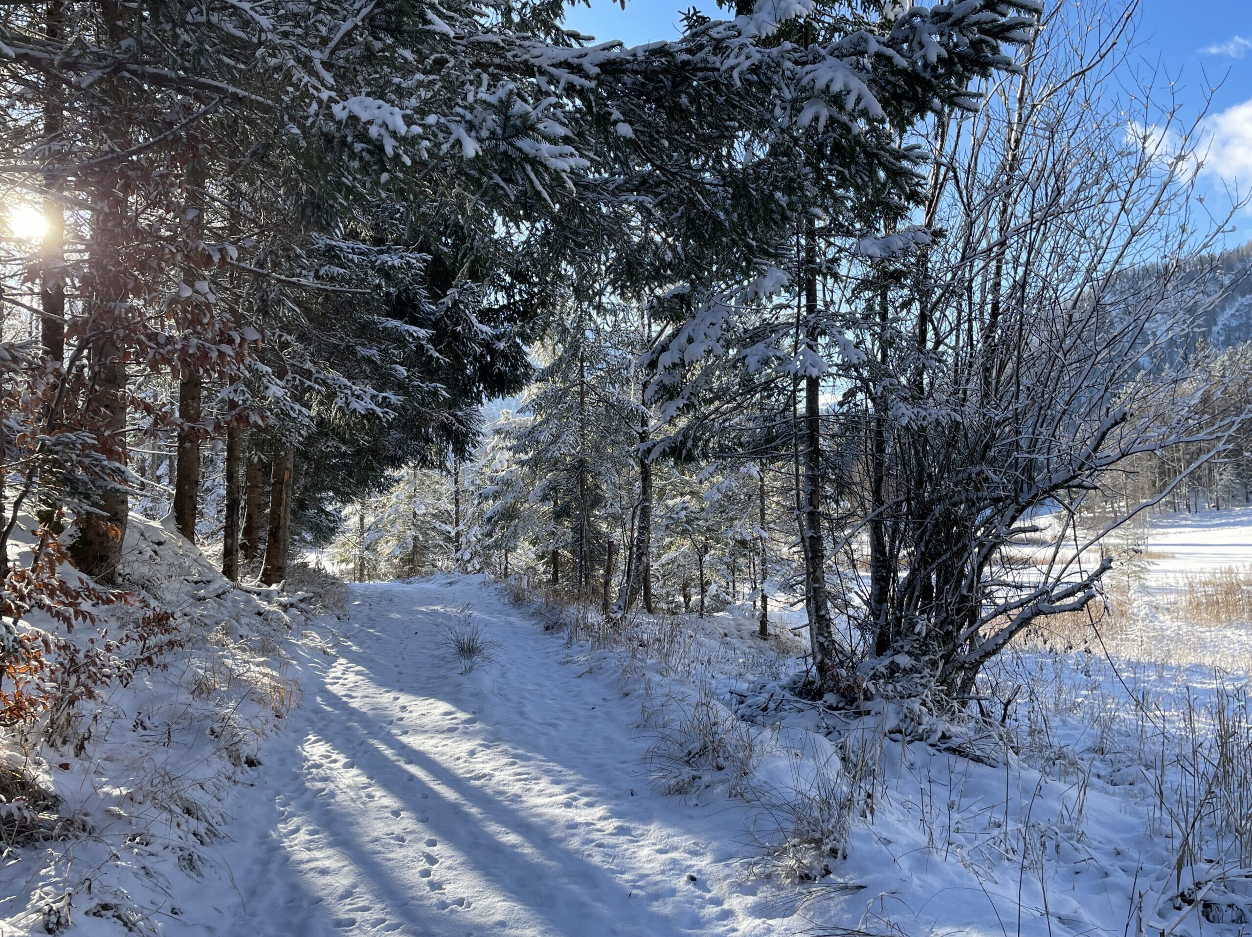 20260103_090242489_iOS
